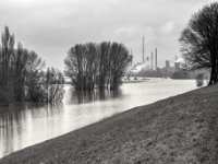 Thyssen  PENTAX K-3 Mark III Monochrome , SMC Pentax-FA 1.9/43 Limited  -12.02.2024 -