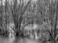 Hochwasser  PENTAX K-3 Mark III Monochrome , SMC Pentax-FA 1.9/43 Limited  -12.02.2024 -