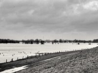 Wasserlandschaft statt Weiden  PENTAX K-3 Mark III Monochrome , SMC Pentax-FA 1.9/43 Limited  -12.02.2024 -