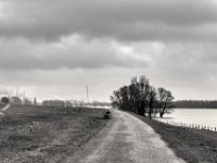 Auf dem Deich bei Walsum  PENTAX K-3 Mark III Monochrome , SMC Pentax-FA 1.9/43 Limited  -12.02.2024 -