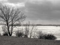 Rhein  PENTAX K-3 Mark III Monochrome , SMC Pentax-FA 1.9/43 Limited  -12.02.2024 -