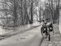 Der Rhein plätschert über den Weg  PENTAX K-3 Mark III Monochrome , SMC Pentax-FA 1.9/43 Limited  -12.02.2024 -