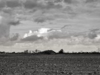 Hügel im Feld  PENTAX K-3 Mark III Monochrome , SMC Pentax-FA 1.9/43 Limited  -12.02.2024 -