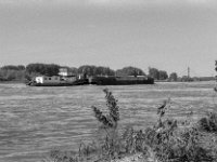 Schifffahrt  Yashica FR I, Zeiss Planar 1.4/50, Kodak TRI-X 400  -13.06.2024 -