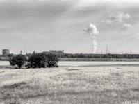Dampfwolken  Yashica FR I, Zeiss Planar 1.4/50, Kodak TRI-X 400  -13.06.2024 -