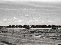 Rheinblick  Yashica FR I, Zeiss Planar 1.4/50, Kodak TRI-X 400  -13.06.2024 -