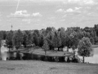 Lippemündung Naturschutz  Yashica FR I, Zeiss Planar 1.4/50, Kodak TRI-X 400  -13.06.2024 -