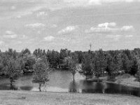 Noch etwas Hochwasser  Yashica FR I, Zeiss Planar 1.4/50, Kodak TRI-X 400  -13.06.2024 -