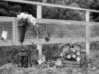 Sie bekommt immer noch frische Blumen  Yashica FR I, Zeiss Planar 1.4/50, Kodak TRI-X 400  -13.06.2024 -