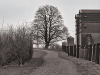Tor und Wachtürme APX Xanten  PENTAX K-3 Mark III Monochrome , HD Pentax-D FA 2.8/24-70    - 14.01.2024 -