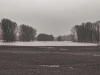Hochwasser in den Weiden  PENTAX K-3 Mark III Monochrome , HD Pentax-D FA 2.8/24-70    - 14.01.2024 -