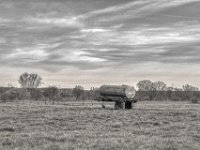 Auf der Weide  PENTAX K-3 Mark III Monochrome , HD PENTAX - DA* 2.8/16-50 ED PLM AW  - 14.03.2024 -
