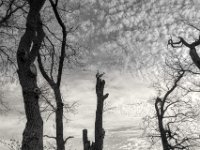 Treffen am Weg  PENTAX K-3 Mark III Monochrome , HD PENTAX - DA* 2.8/16-50 ED PLM AW  - 14.03.2024 -