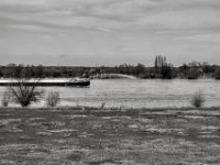 Am Rheinufer  PENTAX K-3 Mark III Monochrome , HD PENTAX - DA* 2.8/16-50 ED PLM AW  - 14.03.2024 -