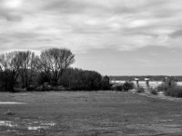 Der Mäuseturm  PENTAX K-3 Mark III Monochrome , HD PENTAX - DA* 2.8/16-50 ED PLM AW  - 14.03.2024 -