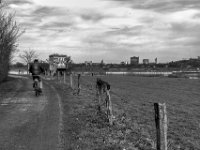 Radfahrer auf dem Deich  PENTAX K-3 Mark III Monochrome , HD PENTAX - DA* 2.8/16-50 ED PLM AW  - 14.03.2024 -