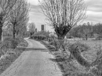 Kopfweiden und Industrie  PENTAX K-3 Mark III Monochrome , HD PENTAX - DA* 2.8/16-50 ED PLM AW  - 14.03.2024 -