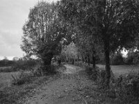 Kleine Weidenallee  Fuji GW 690 III, Adox CHS 100II  - 14.November -