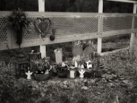 Erinnerungsstop  Fuji GW 690 III, Adox CHS 100II  - 14.November -