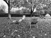 Erinnerung an den Sommer  PENTAX K-3 Mark III Monochrome, HD PENTAX - DA* 2.8/ 11-18 ED DC AW  - 15.11.2024 -