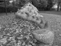 Geschuppter Schwanz des Drachens  PENTAX K-3 Mark III Monochrome, HD PENTAX - DA* 2.8/ 11-18 ED DC AW  - 15.11.2024 -