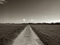 Feldweg  Pentax 645N, SMC Pentax FA 2.8/45, Orange Filter, Fuji Acros 100 II  -18.04.2024 -
