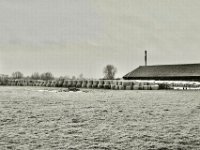 Weide mit Futter und Freiluftstall  PENTAX K-3 Mark III Monochrome , SMC Pentax-FA 1.8/31 AL Limited  -19.01.2021 -