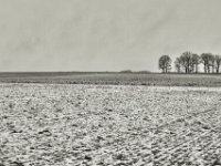 Feldhügel  PENTAX K-3 Mark III Monochrome , SMC Pentax-FA 1.8/31 AL Limited  -19.01.2021 -