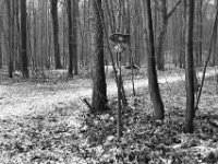 Reiter Wegweiser in der Hees  PENTAX K-3 Mark III Monochrome , SMC Pentax-FA 1.8/31 AL Limited  -19.01.2021 -