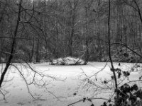 Bombentrichter, jetzt Teich  PENTAX K-3 Mark III Monochrome , SMC Pentax-FA 1.8/31 AL Limited  -19.01.2021 -