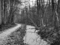 Zugeschneit; Weg und Graben  PENTAX K-3 Mark III Monochrome , SMC Pentax-FA 1.8/31 AL Limited  -19.01.2021 -