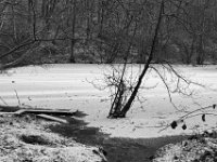Teich mit Schnee  PENTAX K-3 Mark III Monochrome , SMC Pentax-FA 1.8/31 AL Limited  -19.01.2021 -