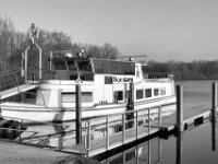 Winterruhe  PENTAX K-3 Mark III Monochrome , SMC Pentax-FA 1.8/31 AL Limited  -19.01.2021 -