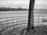 Kneippsteg im Hochwasser  PENTAX K-3 Mark III Monochrome , SMC Pentax-FA 1.8/31 AL Limited  -19.01.2021 -