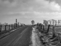 Weiter auf der Bislicher Insel  PENTAX K-3 Mark III Monochrome , SMC Pentax-FA 1.8/31 AL Limited  -19.01.2021 -