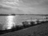 Zurück am Rhein  PENTAX K-3 Mark III Monochrome , SMC Pentax-FA 1.8/31 AL Limited  -19.01.2021 -