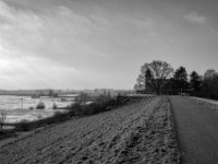 Auf dem Rheindeich bei Büderich  PENTAX K-3 Mark III Monochrome , SMC Pentax-FA 1.8/31 AL Limited  -19.01.2021 -