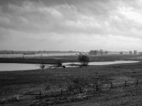 Rheinwiesen, das Hochwasser schwindet  PENTAX K-3 Mark III Monochrome , SMC Pentax-FA 1.8/31 AL Limited  -19.01.2021 -