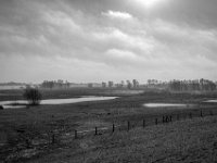Rheinwiesen  PENTAX K-3 Mark III Monochrome , SMC Pentax-FA 1.8/31 AL Limited  -19.01.2021 -