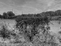 Weidezaun  PENTAX K-3 Mark III Monochrome, HD PENTAX - DA* 2.8/16-50 ED PLM AW  - 20.08.2024 -