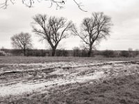Ackersand  PENTAX K-3 Mark III Monochrome , HD PENTAX - DA* 2.8/16-50 ED PLM AW   - 21.03.2024 -
