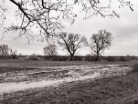 Feldlandschaft  PENTAX K-3 Mark III Monochrome , HD PENTAX - DA* 2.8/16-50 ED PLM AW   - 21.03.2024 -
