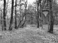 Testerberge  PENTAX K-3 Mark III Monochrome , HD PENTAX - DA* 2.8/16-50 ED PLM AW   - 21.03.2024 -