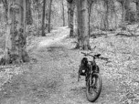 Stopp auf dem Waldweg  PENTAX K-3 Mark III Monochrome , HD PENTAX - DA* 2.8/16-50 ED PLM AW   - 21.03.2024 -