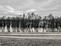 Hochwasser  PENTAX K-3 Mark III Monochrome , HD PENTAX - DA* 2.8/16-50 ED PLM AW   - 21.03.2024 -