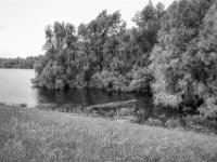 Kleiner See hinterm Rheindeich  PENTAX K-3 Mark III Monochrome , HD PENTAX - DA* 2.8/ 11-18 ED DC AW  - 22.05.2024 -
