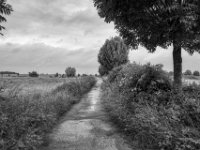 Feldweg  PENTAX K-3 Mark III Monochrome , HD PENTAX - DA* 2.8/ 11-18 ED DC AW  - 22.05.2024 -
