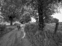 Den selben Weg zurück zum alten Kaiser  PENTAX K-3 Mark III Monochrome , HD PENTAX - DA* 2.8/ 11-18 ED DC AW  - 22.05.2024 -