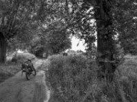 Stopp  PENTAX K-3 Mark III Monochrome , HD PENTAX - DA* 2.8/ 11-18 ED DC AW  - 22.05.2024 -