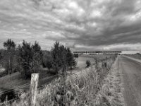 Gewerbehallen am Naturschutz  PENTAX K-3 Mark III Monochrome , HD PENTAX - DA* 2.8/ 11-18 ED DC AW  - 22.05.2024 -
